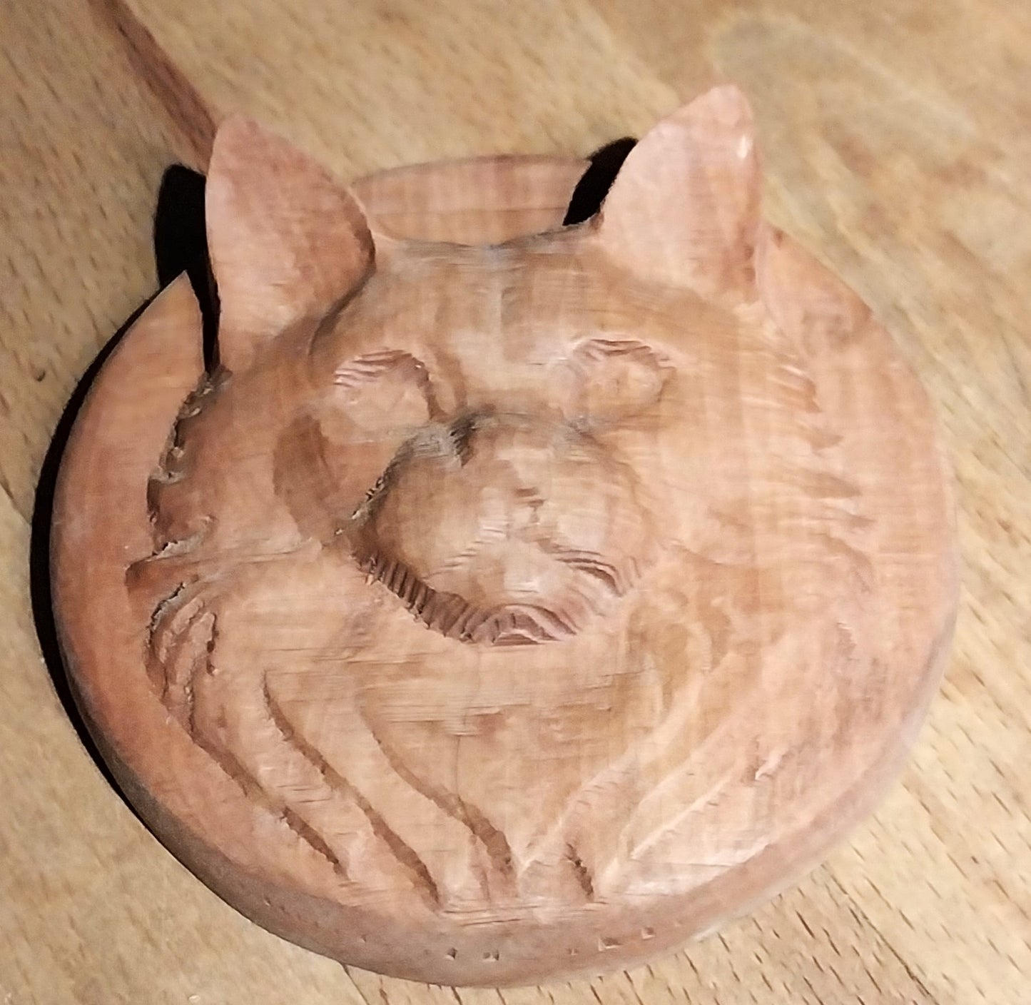 animaux